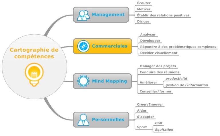 Cartographie De Comp Tences Matthieu Cottard Le Blog Du Management Visuel