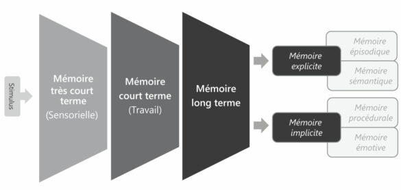 Le Schéma de la mémoire